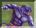 catman.jpg